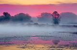 Foggy Rideau Canal_22684